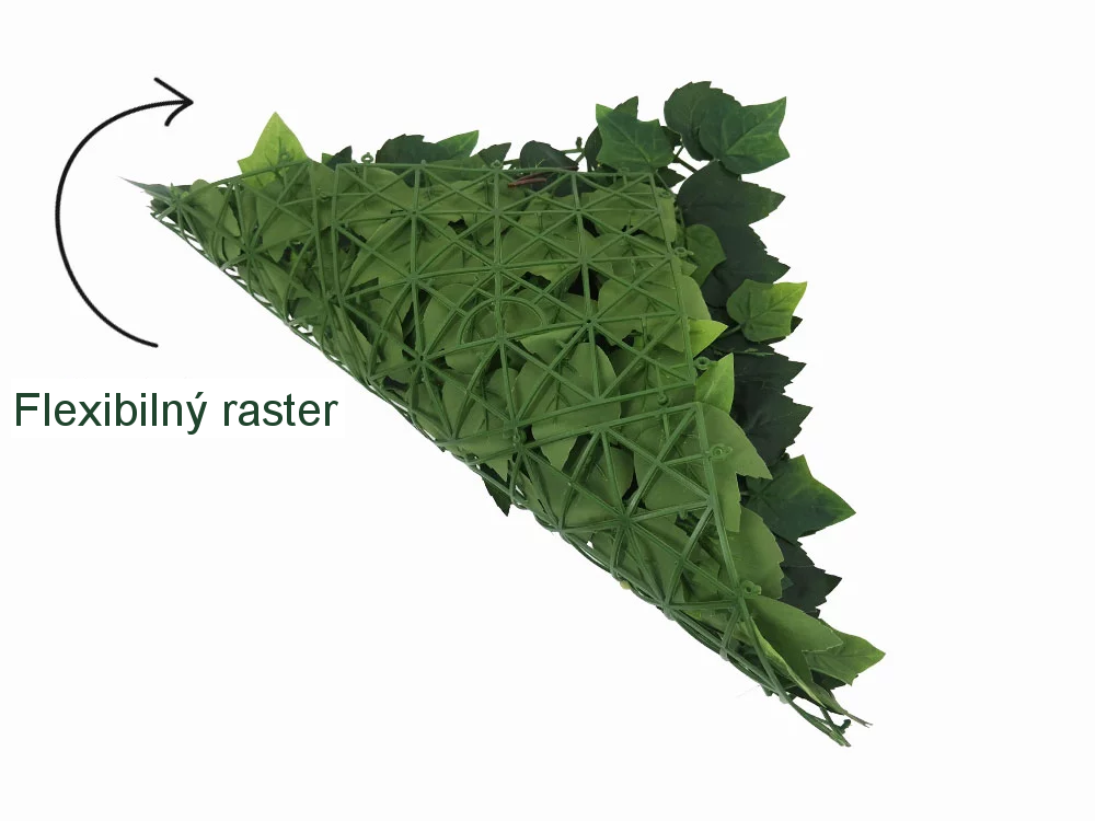 HEDERA ECONOMY, dielec 50 x 50 cm