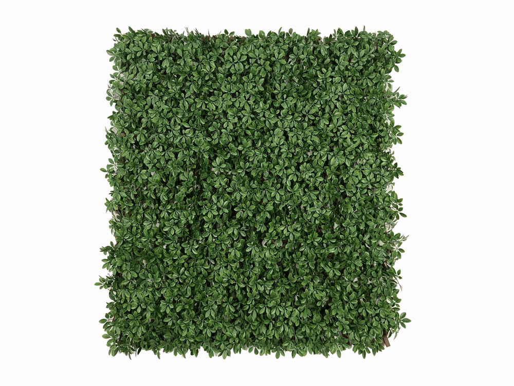 SCHEFFLERA - DARK GREEN EXT, rozmer 1,0x2,0 m