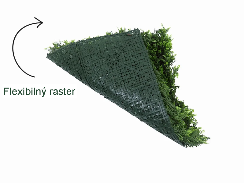 Asplenium dark, dielec 50 x 50 cm
