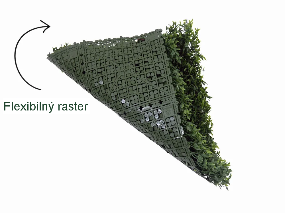 Buxus Muisdoorn, dielec 50 x 50 cm