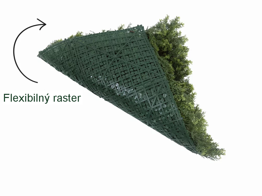 THUJA green, dielec 50 x 50 cm