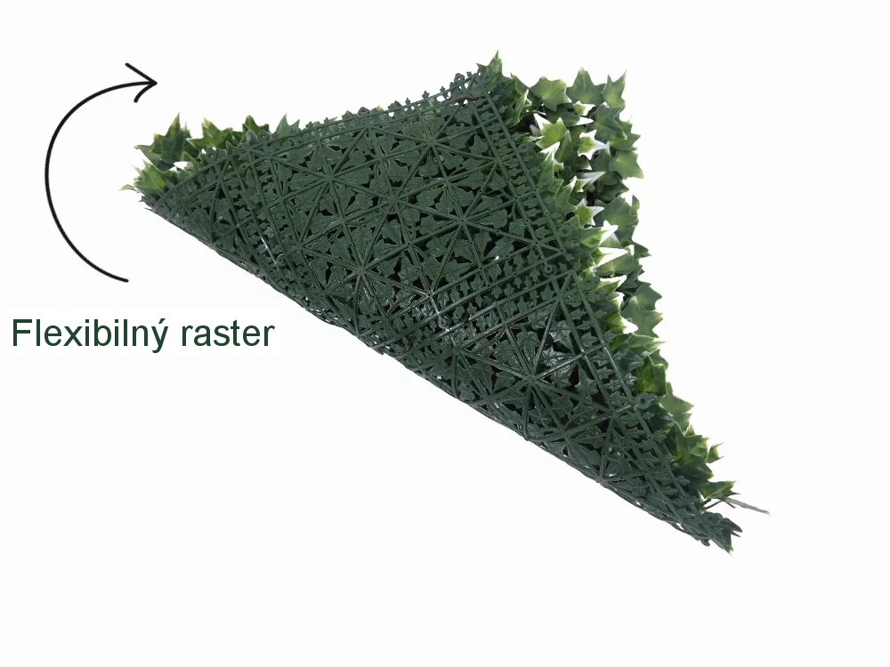 Hedera helix VG, dielec 50 x 50 cm