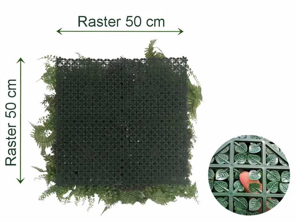 MINI WALL GREEN Dicksonia tree fern, dielec 50 x 50 cm