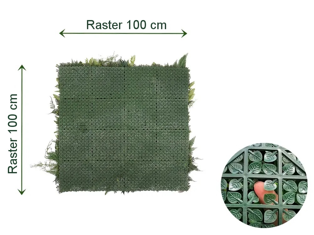 WALL GREEN Boston fern botanica, dielec 100 x 100 cm