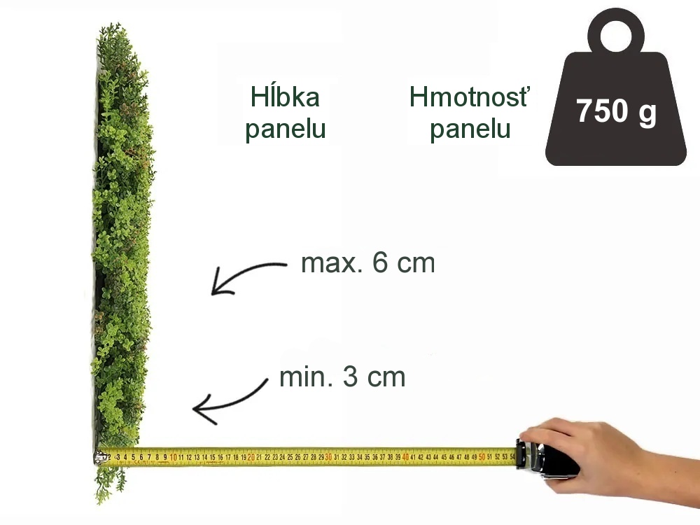 MINI WALL GREEN Sedum, dielec 50 x 50 cm