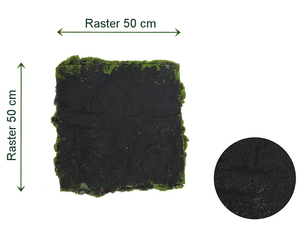 Ball moss, dielec 50 x 50 cm