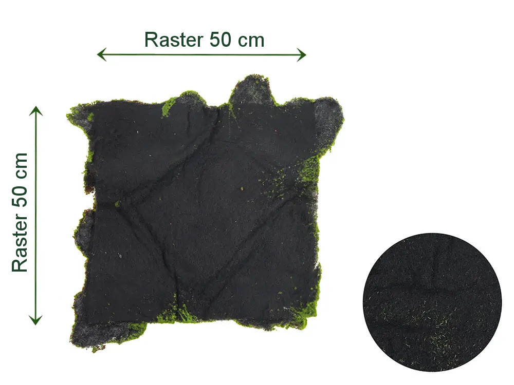 Ball moss varia, dielec 50 x 50 cm