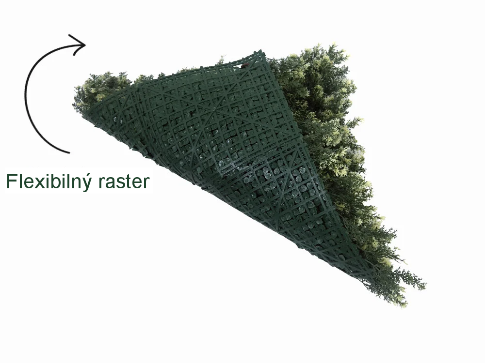 THUJA VG, dielec 50 x 50 cm