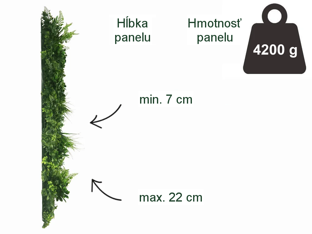 WALL GREEN Schefflera, dielec 100 x 100 cm