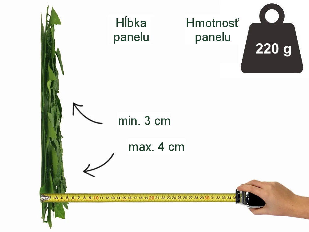 HEDERA ECONOMY, dielec 50 x 50 cm