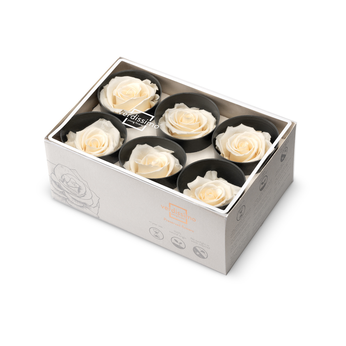 Hlavy ruží - štandard 6 ks