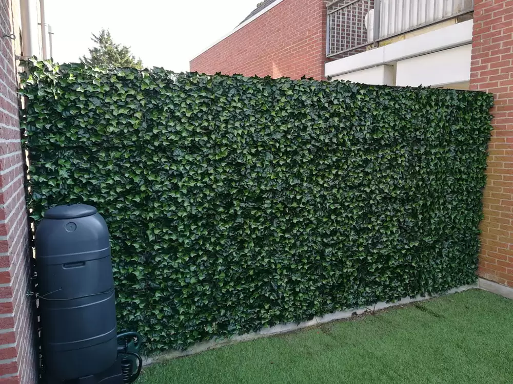 HEDERA, dielec 50 x 50 cm