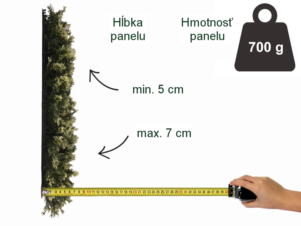 THUJA VG, dielec 50 x 50 cm
