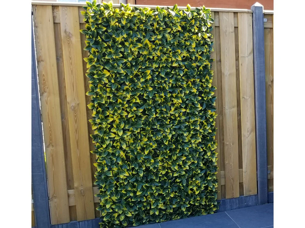 ILEX VG, dielec 50 x 50 cm