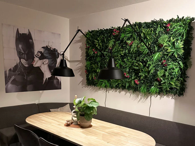 MINI WALL GREEN Dracaena, dielec 50 x 50 cm