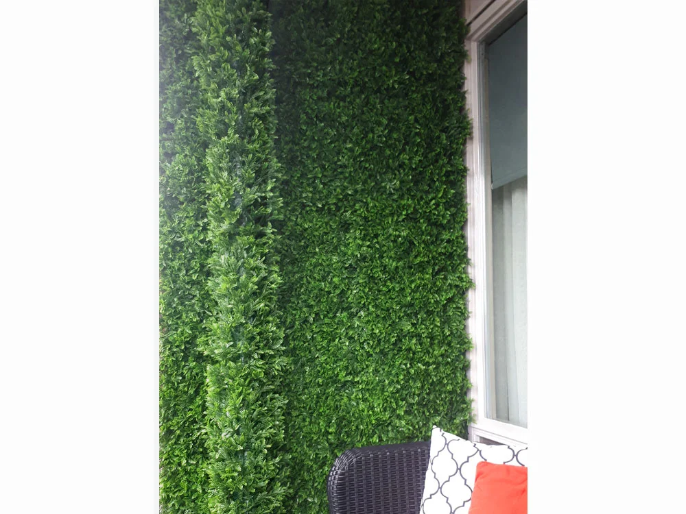 Asplenium dark, dielec 50 x 50 cm