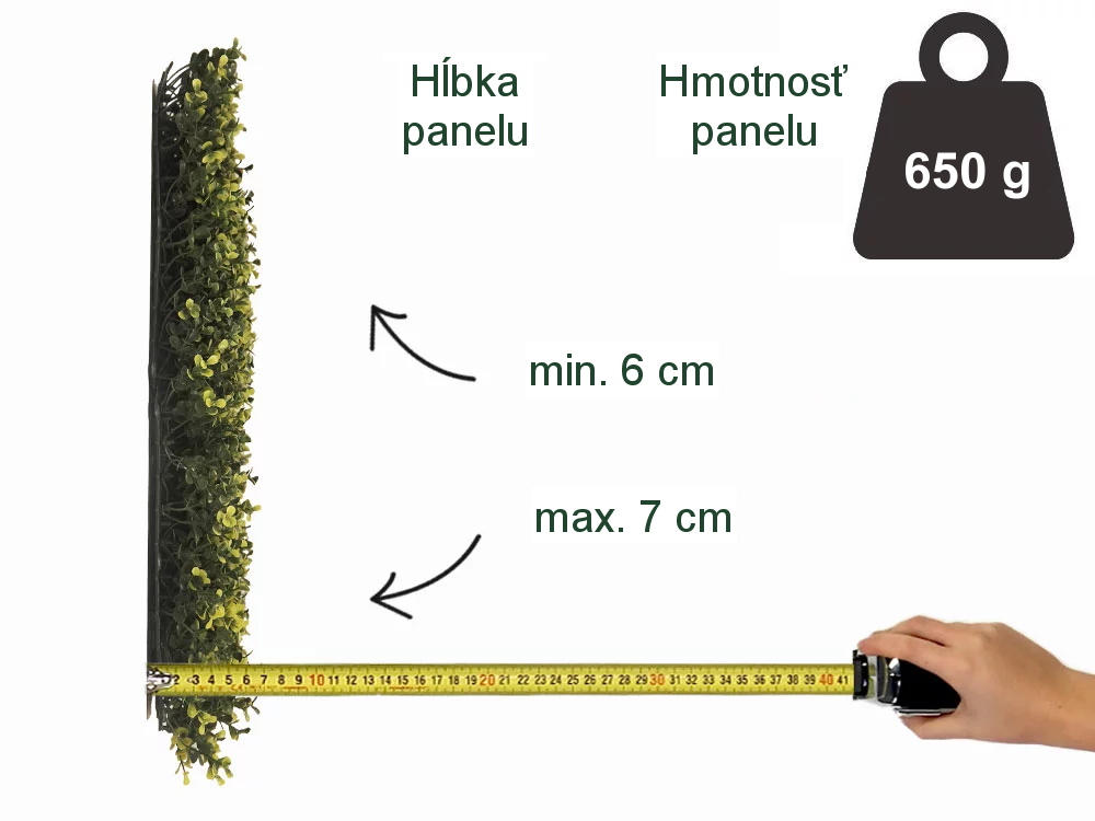 Buxus long VG yellow, dielec 50 x 50 cm