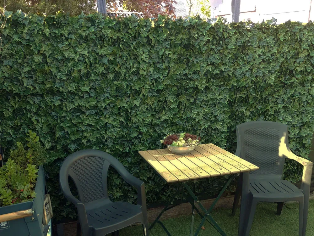 Hedera helix, dielec 50 x 50 cm