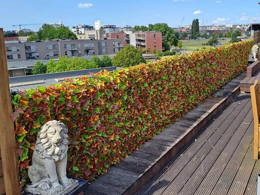 Hedera autumn, dielec 50 x 50 cm