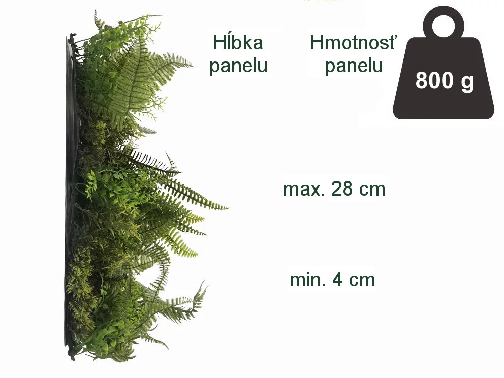MINI WALL GREEN Dicksonia tree fern, dielec 50 x 50 cm