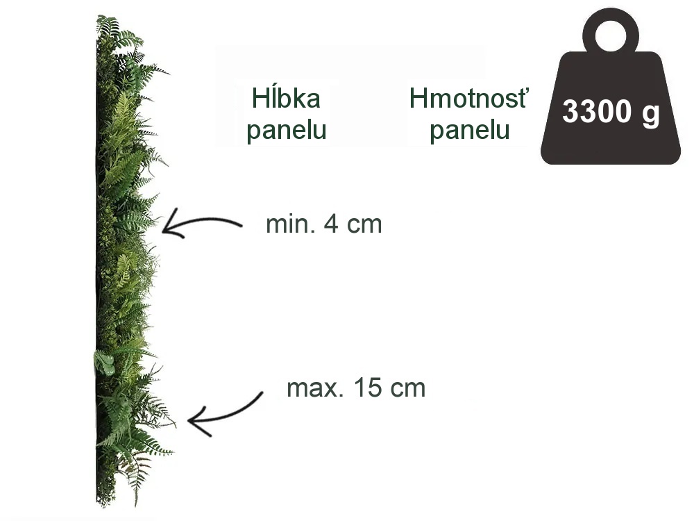 WALL GREEN beard moss fern, dielec 100 x 100 cm