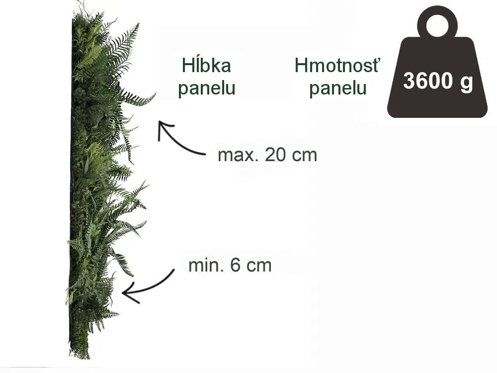 WALL GREEN Boston fern botanica, dielec 100 x 100 cm