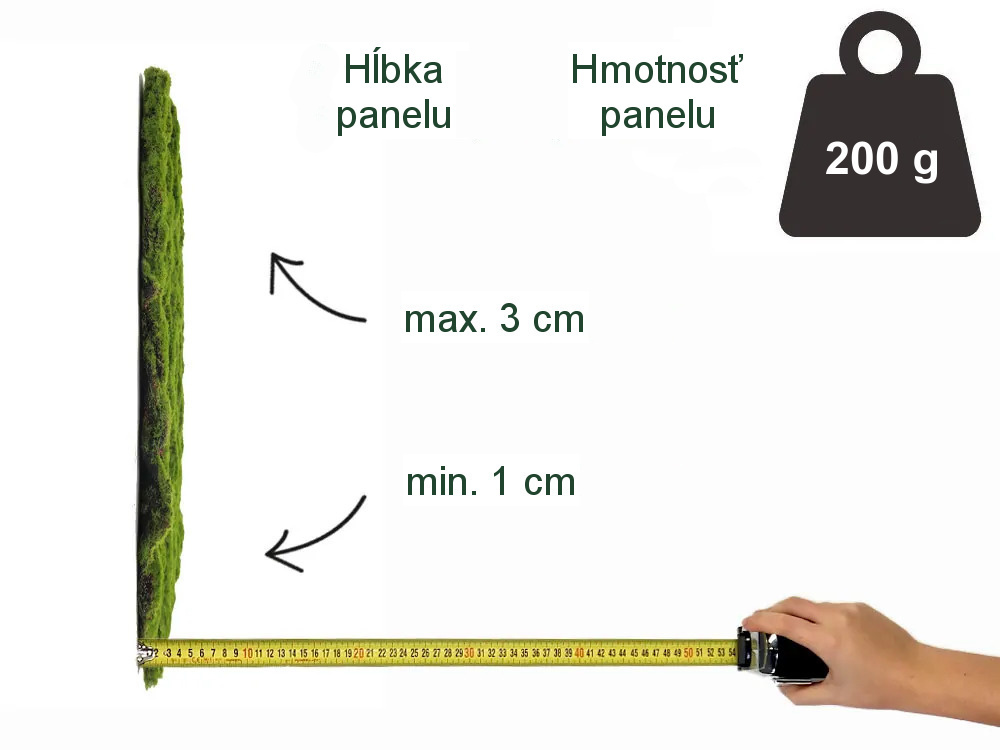 Ball moss, dielec 50 x 50 cm