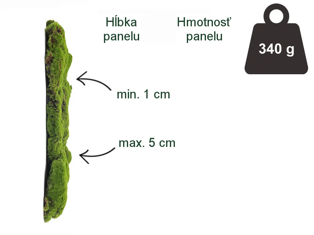 Ball moss varia, dielec 50 x 50 cm