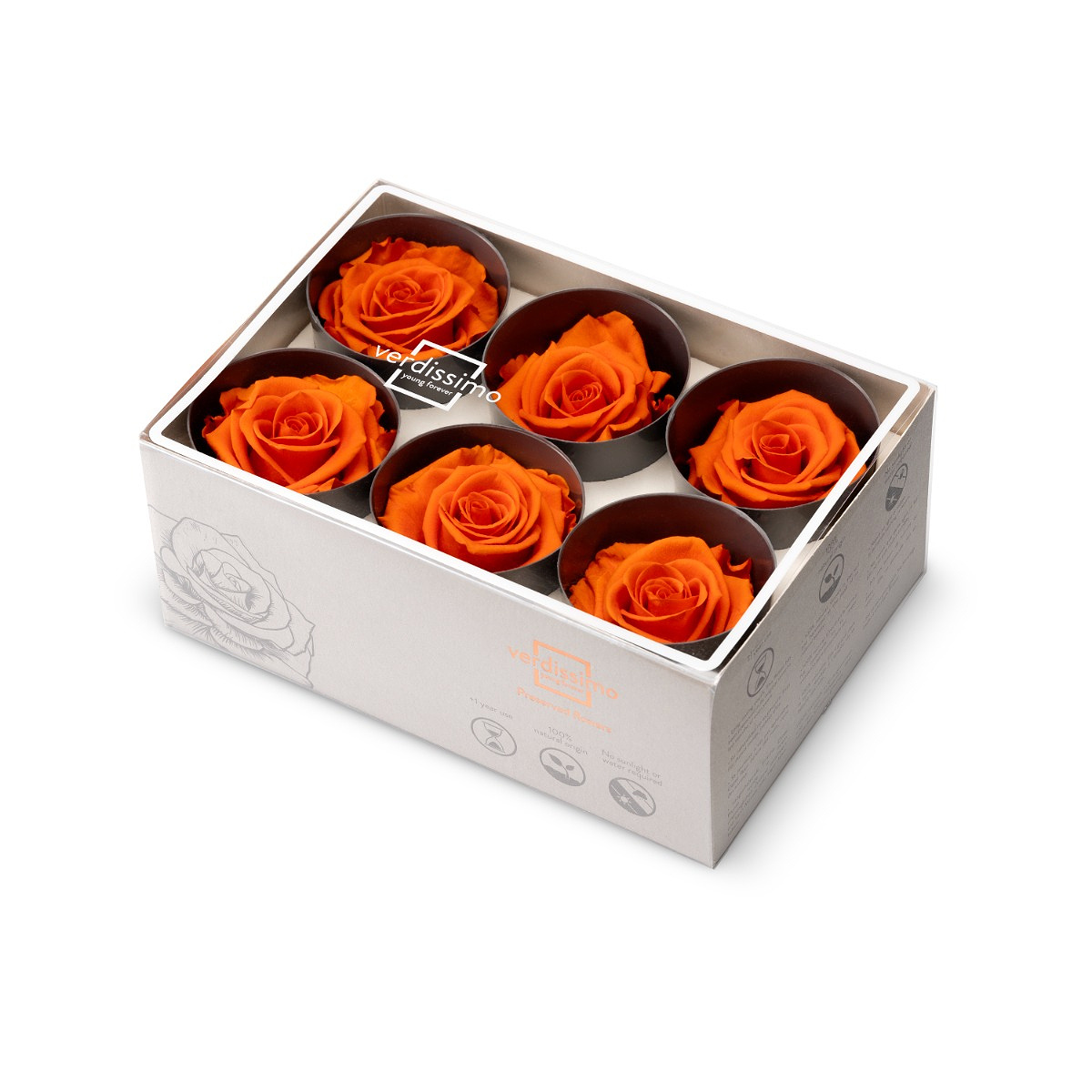 Hlavy ruží - štandard 6 ks