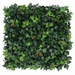 HEDERA BLOOM, dielec 50 x 50 cm