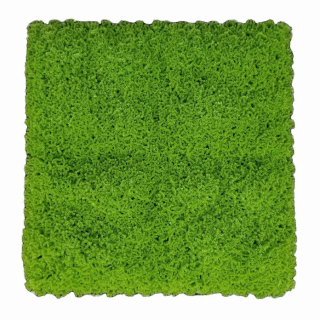 Moss green, dielec 50 x 50 cm