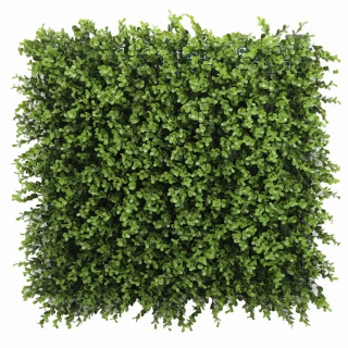 Buxus long green, dielec 50 x 50 cm