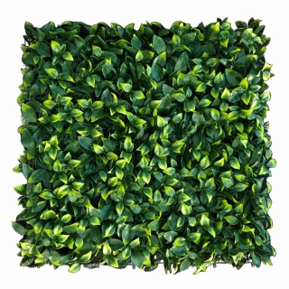 Citrus maxi, dielec 50 x 50 cm
