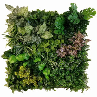 Variabilný WALL GREEN Pilea, dielec 100 x 100 cm