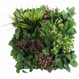 MINI WALL GREEN rich mix of plants, dielec 50 x 50 cm