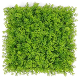 Moss coral light green, dielec 50 x 50 cm