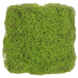 Fine moss light green, dielec 50 x 50 cm