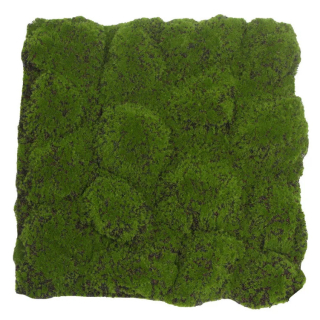 Globe moss green/brown, dielec 50 x 50 cm