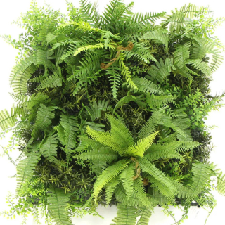 MINI WALL GREEN bush fern, dielec 50 x 50 cm