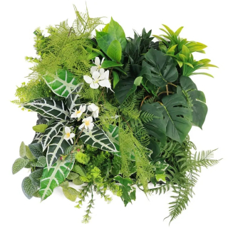 MINI WALL GREEN Alocasia, dielec 50 x 50 cm