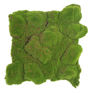 Ball moss varia, dielec 50 x 50 cm