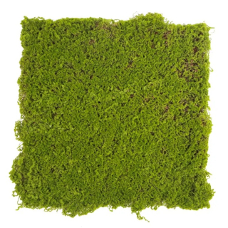 Moss gray crooked, dielec 50 x 50 cm