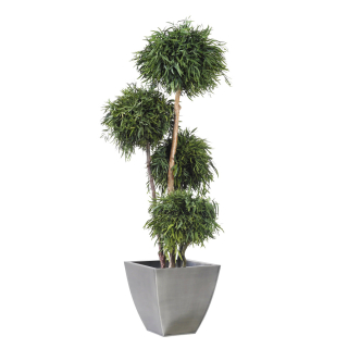 Nicoly tree - 4 spheres